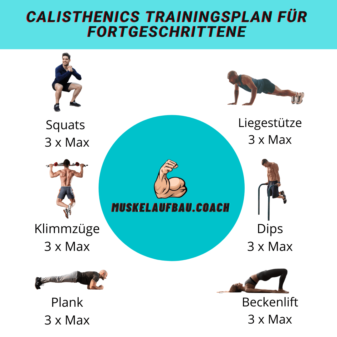 Calisthenics Trainingsplan Muskelaufbau.Coach