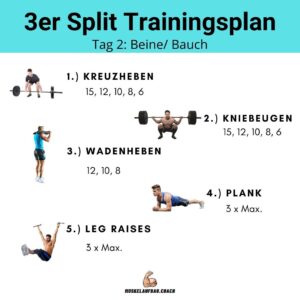 3er Split Trainingsplan | Muskelaufbau.Coach