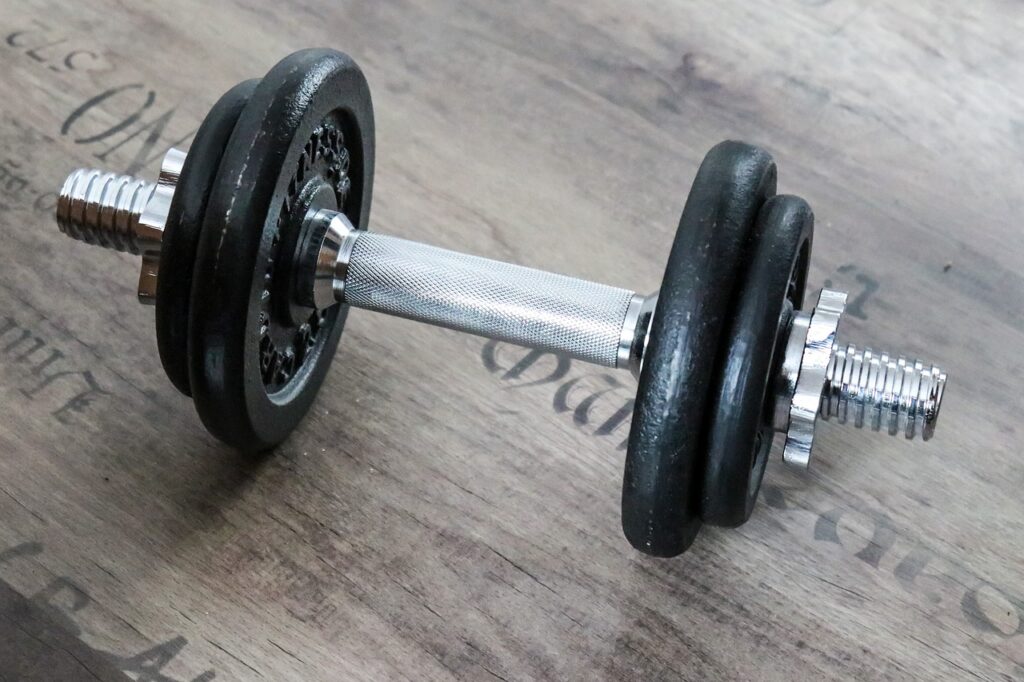 dumbbell, weight, fitness, weight training, muscles, gym, dumbbell, dumbbell, dumbbell, dumbbell, weight training, weight training, gym, gym, gym, gym, gym